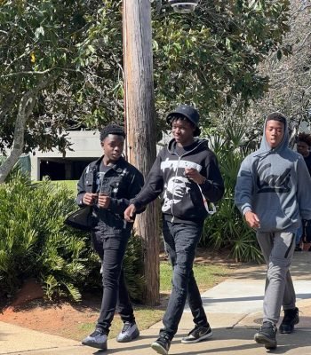 fam set 100doe fam set 100doe